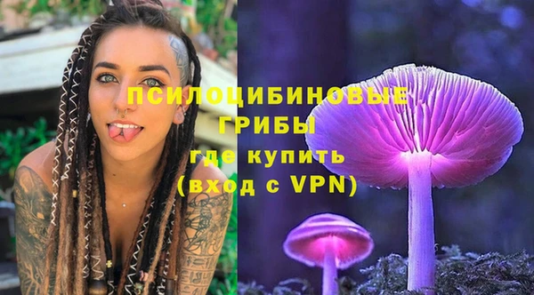 индика Алексеевка