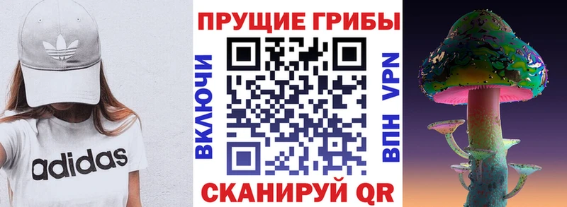 Галлюциногенные грибы мухоморы  блэк спрут ТОР  Йошкар-Ола 